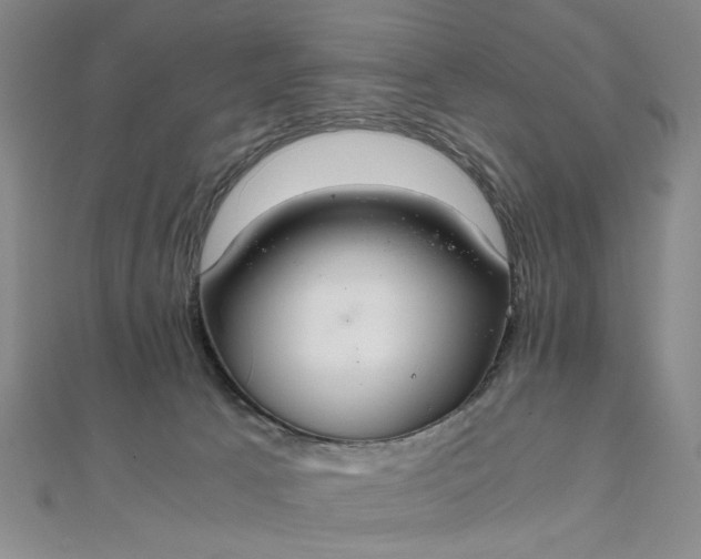 X0000111860033200908061345