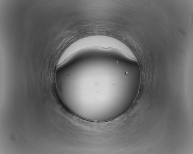 X0000111860035200908061345