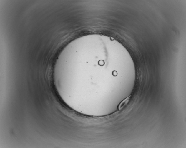 X0000111860036200908061345