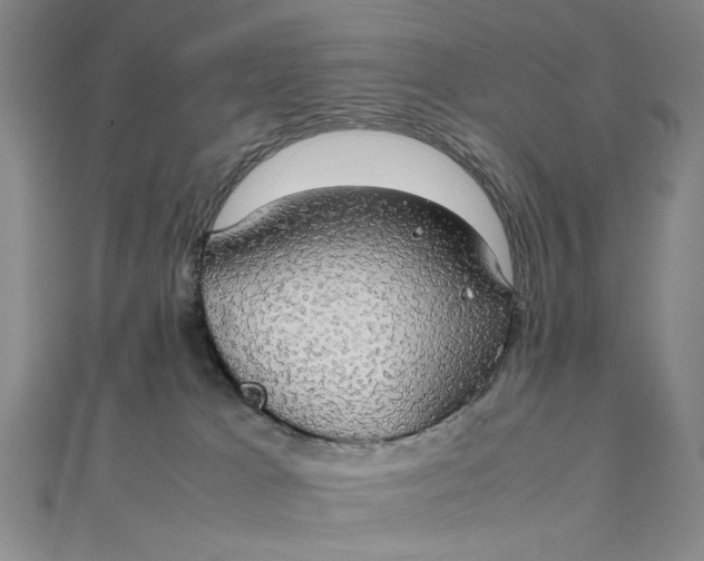 X0000111860037200908061345