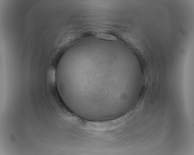 X0000111860041200908061345