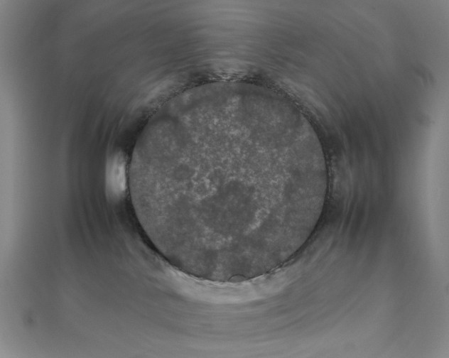 X0000111860042200908061345