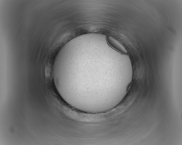 X0000111860044200908061344