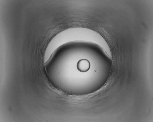 X0000111860045200908061344