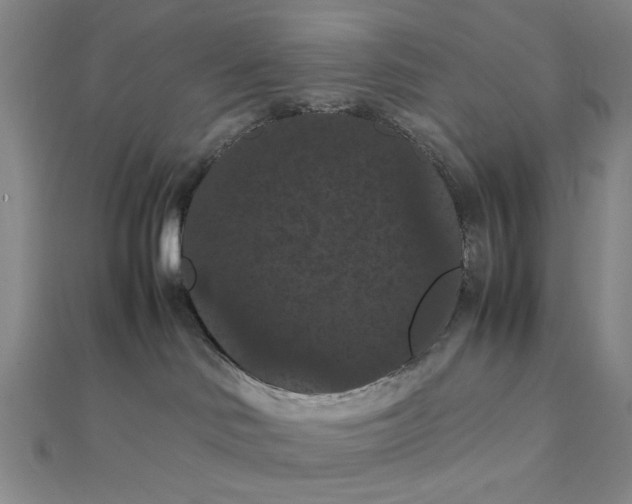 X0000111860046200908061344