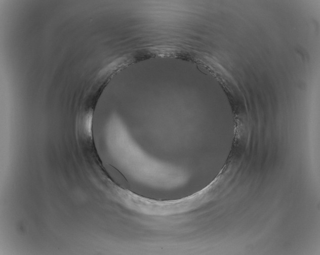 X0000111860047200908061344