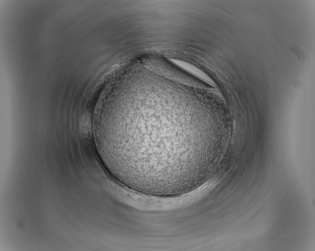 X0000111860048200908061344