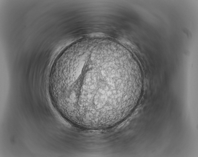 X0000111860049200908061344