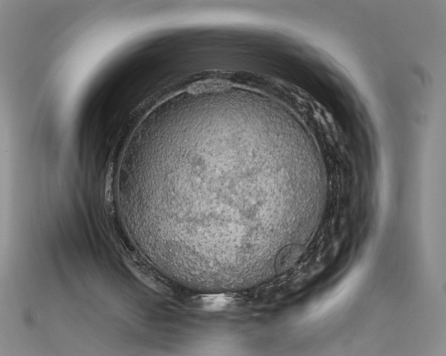 X0000111860050200908061344