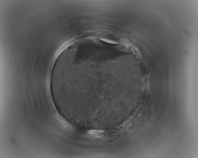 X0000111860051200908061344