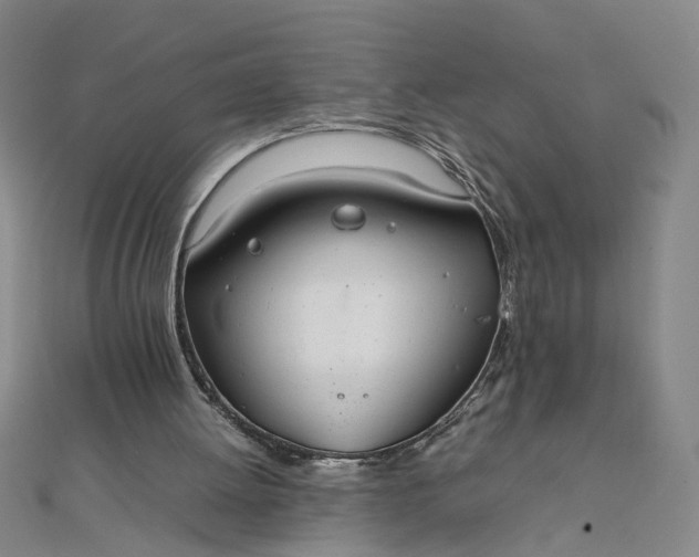 X0000111860052200908061344