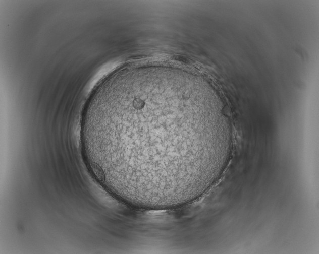 X0000111860054200908061344