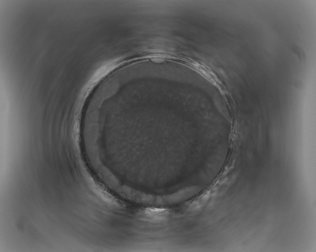 X0000111860055200908061344