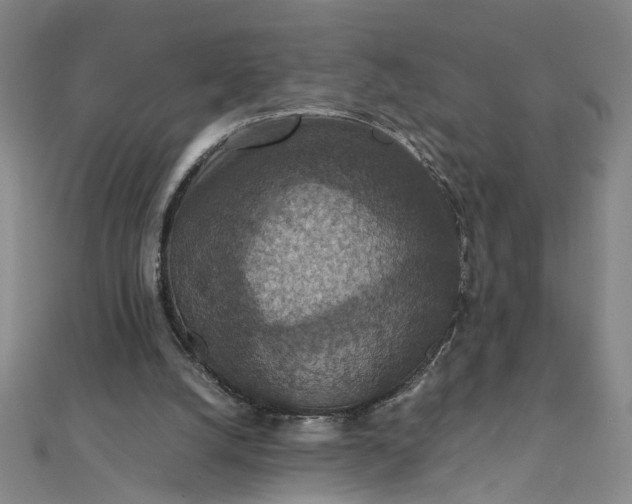 X0000111860056200908061344