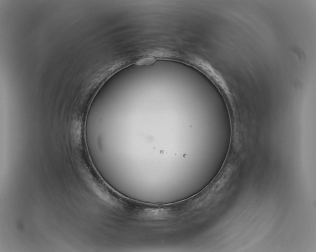 X0000111860057200908061344