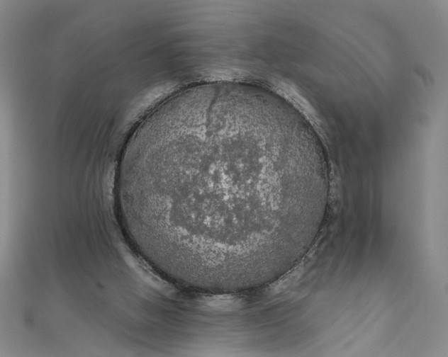 X0000111860058200908061344