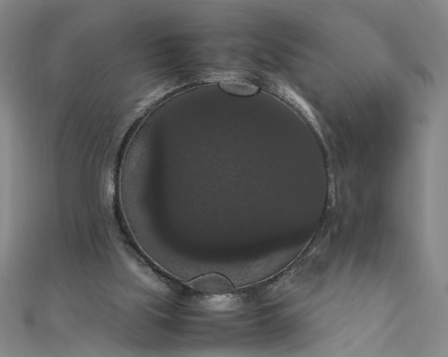 X0000111860059200908061344