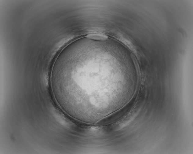 X0000111860060200908061344