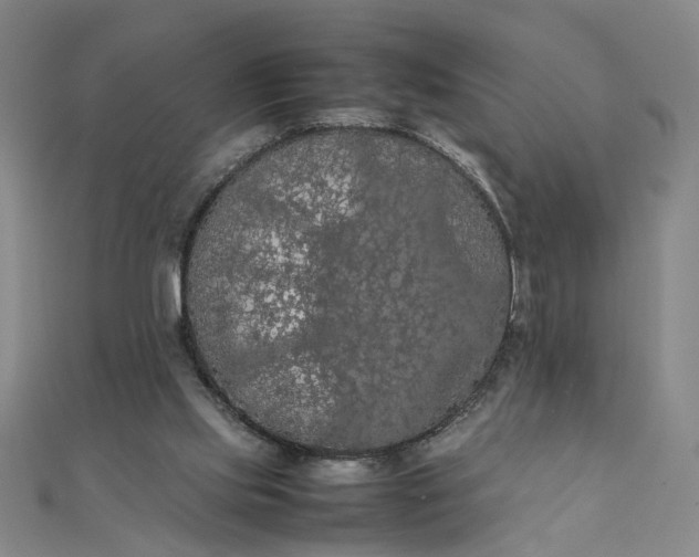 X0000111860061200908061344