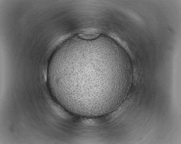 X0000111860062200908061344