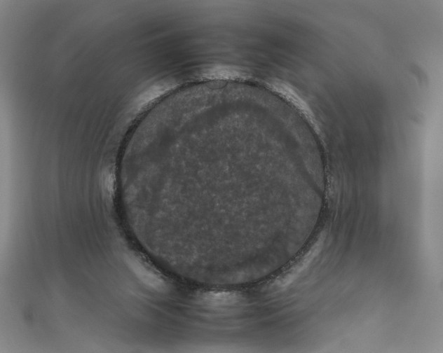 X0000111860063200908061344