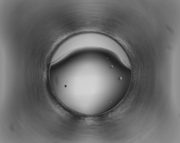 X0000111860064200908061344