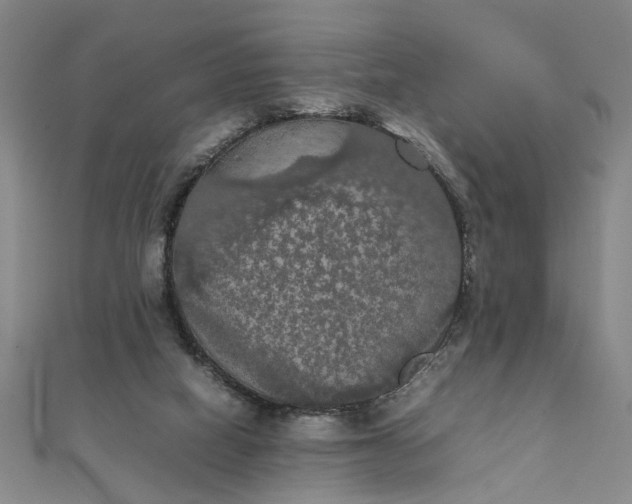 X0000111860066200908061344