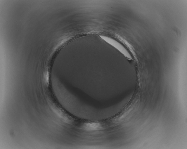 X0000111860067200908061344