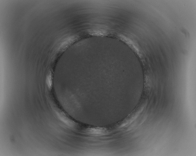 X0000111860069200908061344