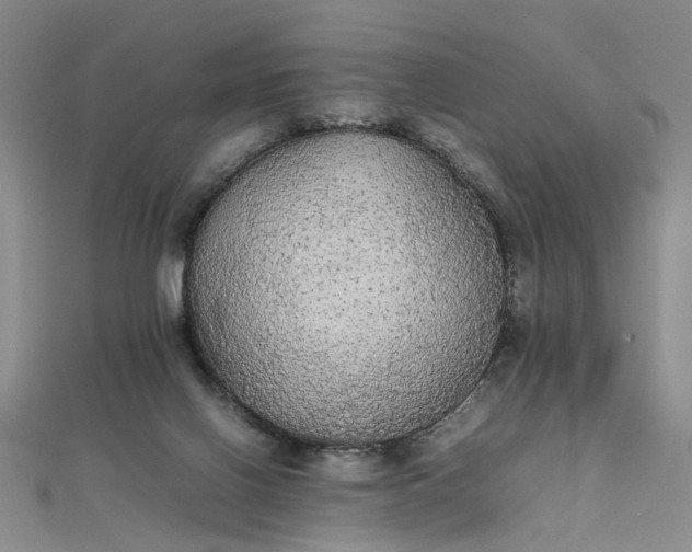 X0000111860070200908061344