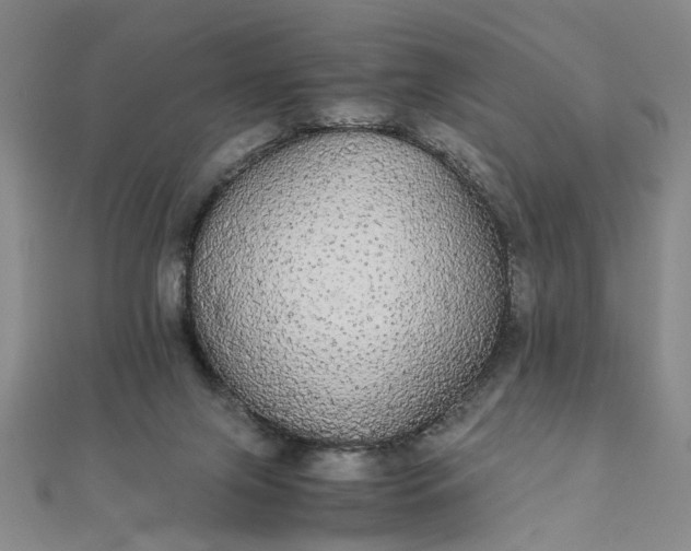 X0000111860071200908061344