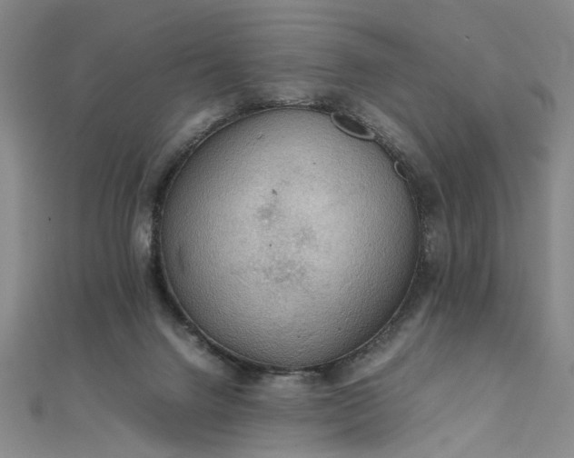 X0000111860072200908061344