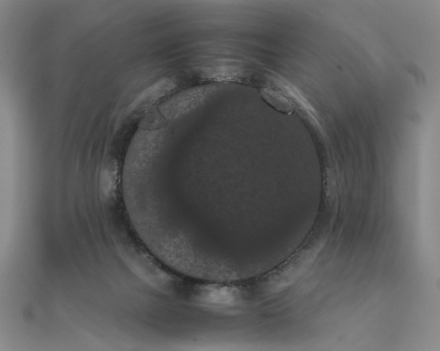 X0000111860073200908061344