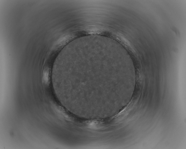 X0000111860074200908061344