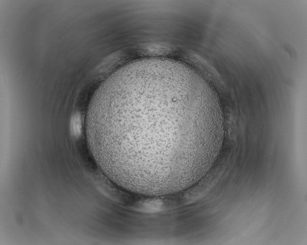 X0000111860075200908061344