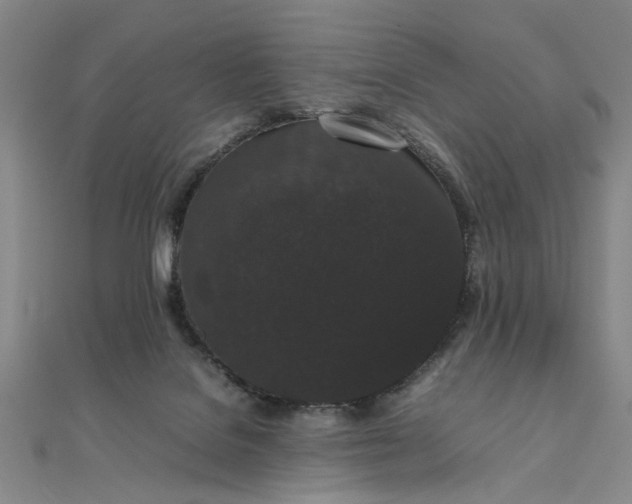 X0000111860076200908061344