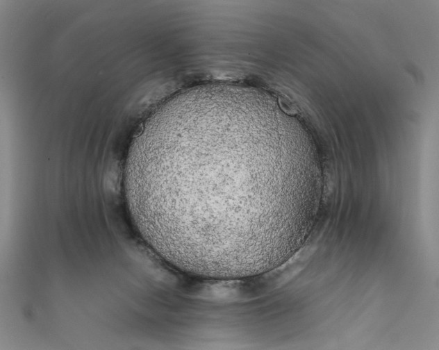 X0000111860078200908061344