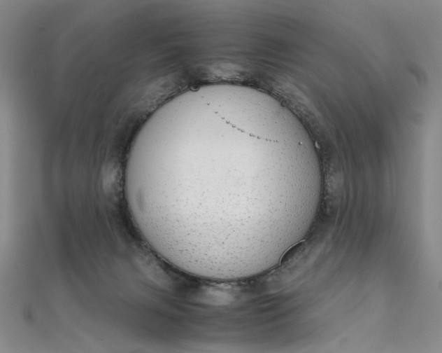 X0000111860079200908061344