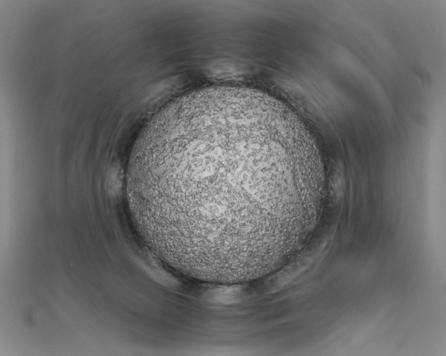 X0000111860081200908061344