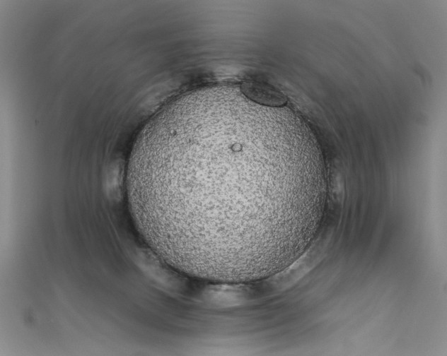 X0000111860082200908061344