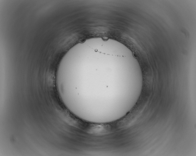 X0000111860083200908061344