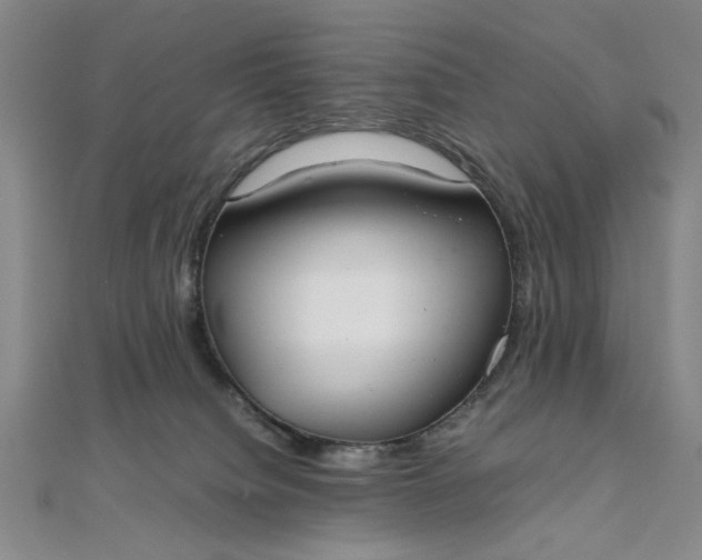 X0000111860084200908061344