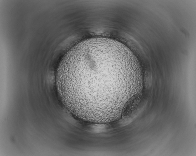 X0000111860085200908061344