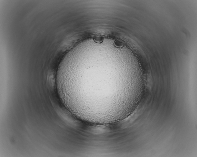 X0000111860086200908061344