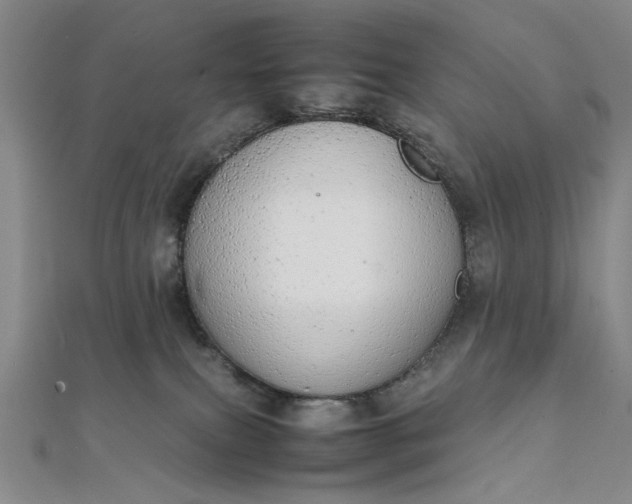 X0000111860087200908061344