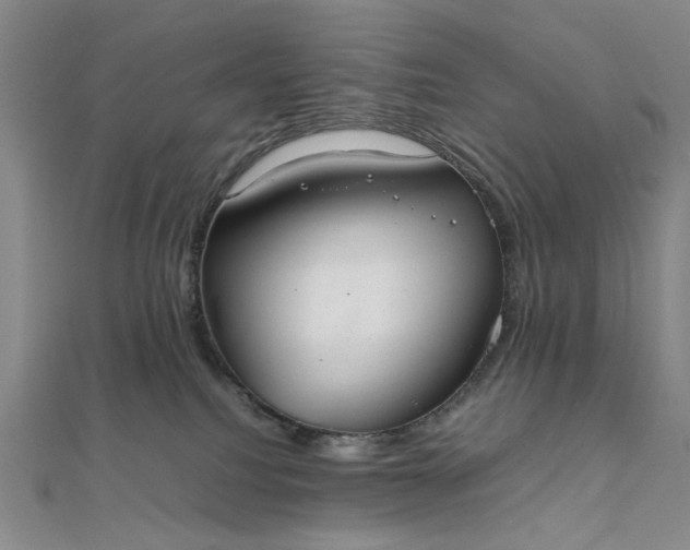 X0000111860088200908061344