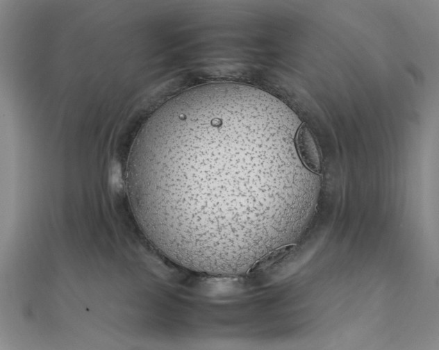 X0000111860089200908061344