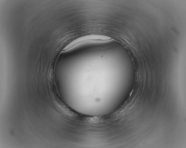 X0000111860092200908061344