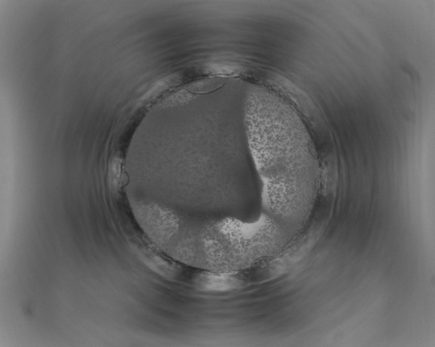 X0000111860093200908061344