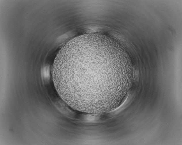 X0000111860094200908061344